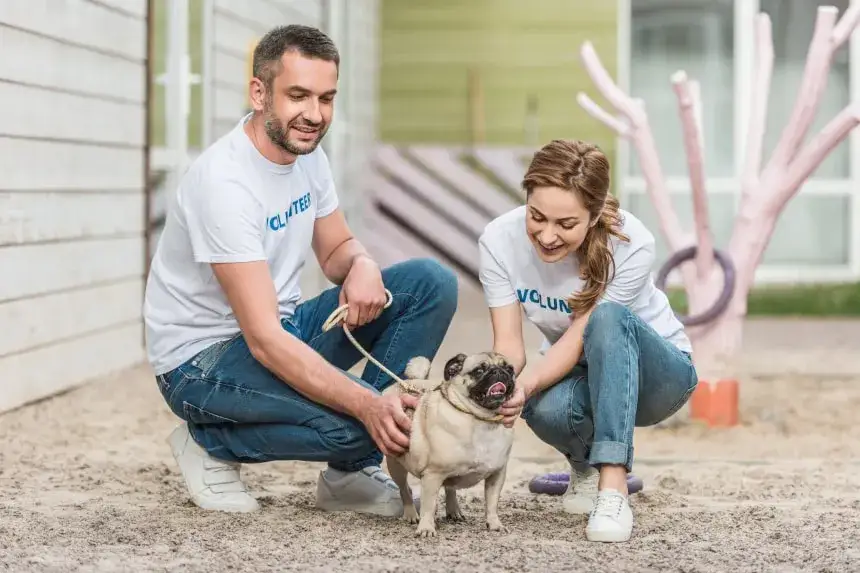 Zdjęcie Wolontariat jak zacząć: proste kroki do spełnienia i pomocy innym