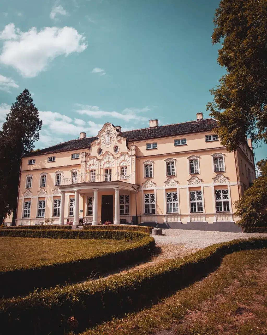 Zdjęcie Pałac Umysłu w Witaszycach: Niezapomniane Atrakcje i Wydarzenia