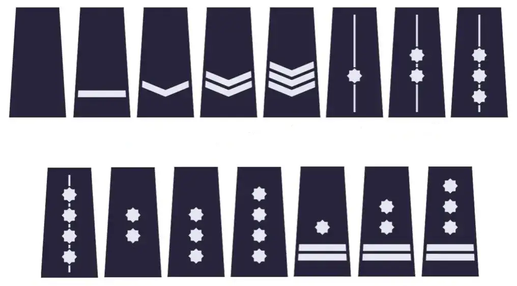 Zdjęcie Stopnie w polskiej policji: Jak wygląda hierarchia? Pełna lista