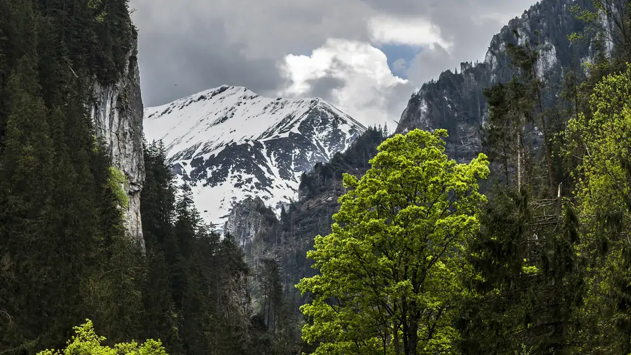 Zdjęcie Od kiedy otwarte szlaki na Słowacji? Sprawdź najnowsze informacje