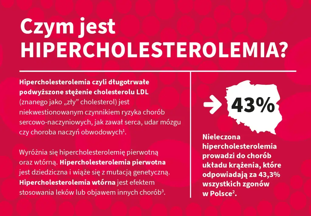 Zdjęcie Hipercholesterolemią jaki lekarz - jak uniknąć poważnych problemów zdrowotnych