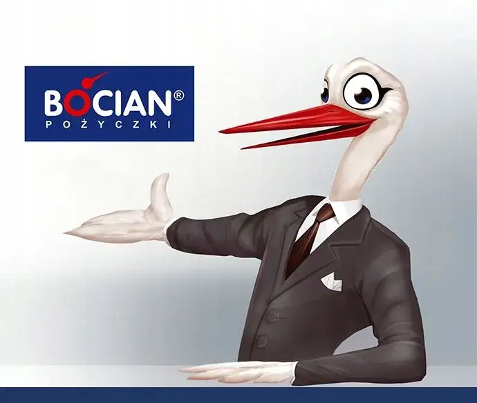 Zdjęcie Czy bocian pożyczki sprawdza KRD? Oto, co musisz wiedzieć