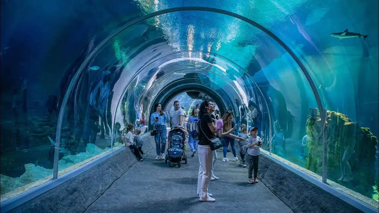 Zdjęcie Największe oceanarium w Polsce Łódź – odkryj niezwykłe atrakcje