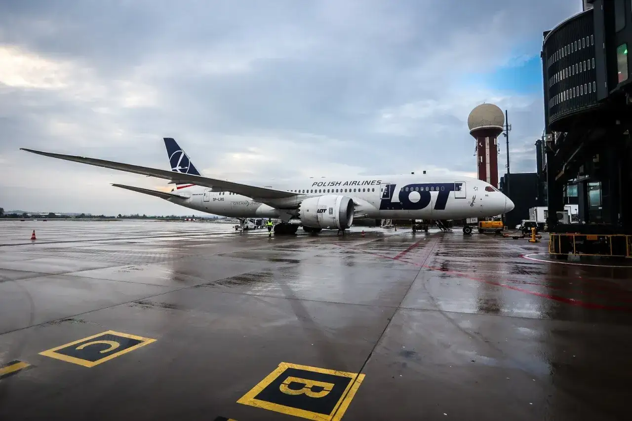 Zdjęcie Jak przewieźć obraz samolotem bez obaw o uszkodzenia i straty