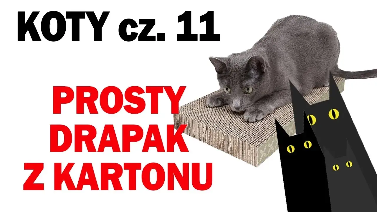 Zdjęcie Jak zrobić drapak dla kota z kartonu, aby uniknąć zniszczeń w domu