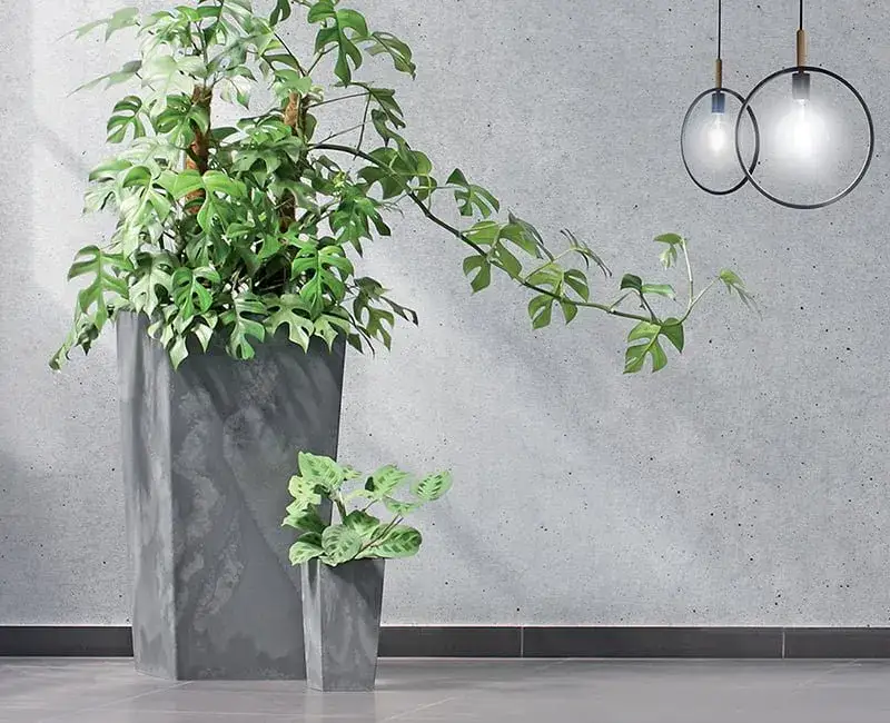 Zdjęcie Jak dobrać wielkość osłonki do doniczki, aby uniknąć problemów z roślinami