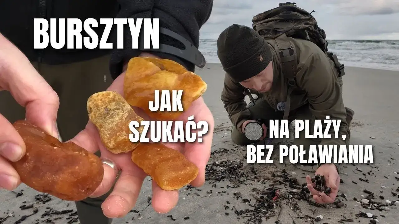 Zdjęcie Gdzie szukać bursztynu nad Bałtykiem? Najlepsze miejsca i porady