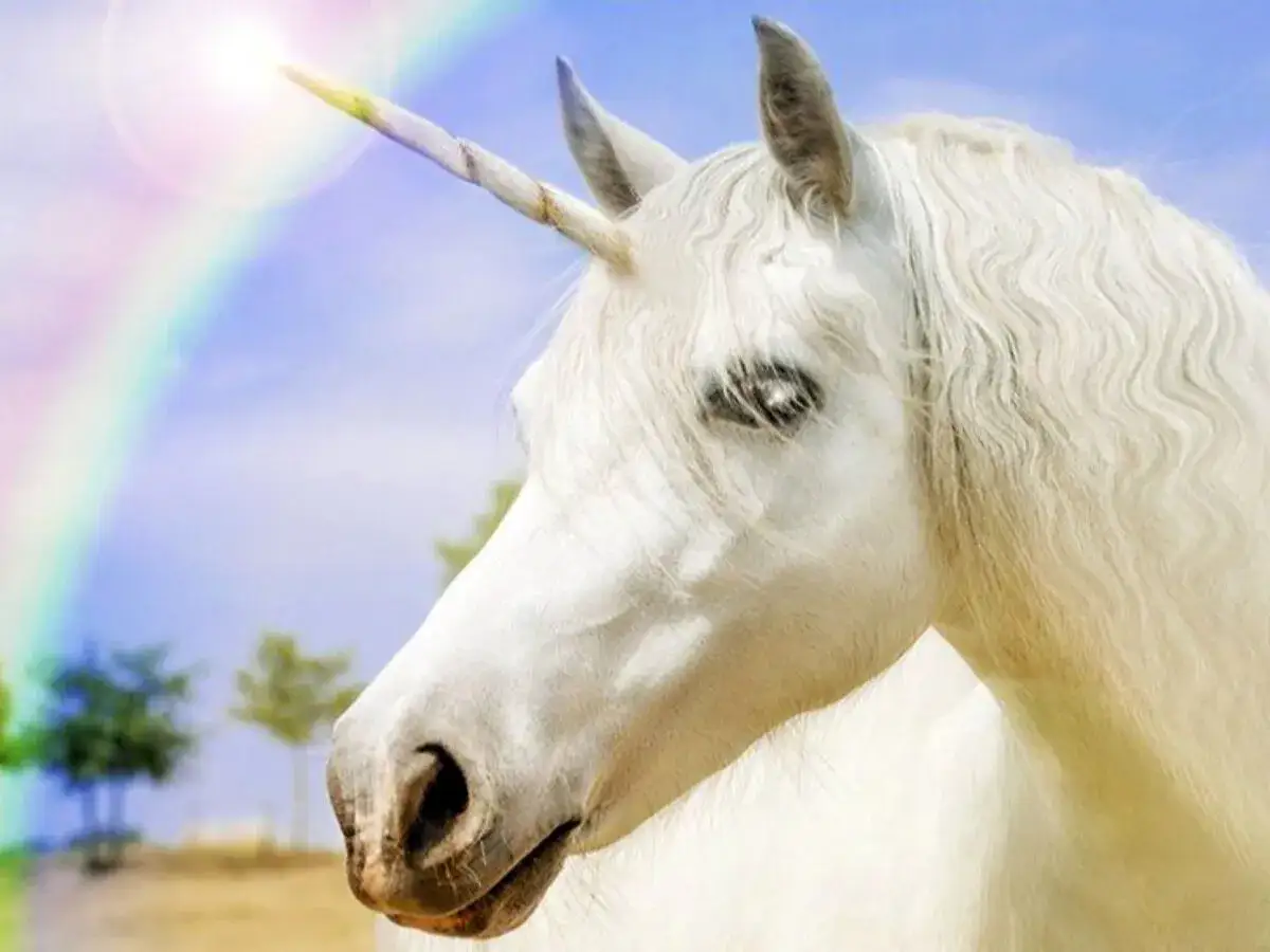 Zdjęcie Czy kiedykolwiek spotkasz syberyjskiego jednorożca? Cała prawda!