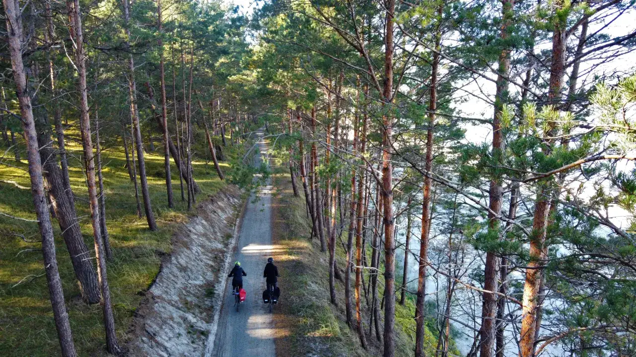 Zdjęcie Trasy rowerowe na Mierzei Wiślanej: najpiękniejsze szlaki i atrakcje