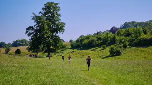 Zdjęcie Parkrun jezioro swarzędzkie - jak wziąć udział i co warto wiedzieć