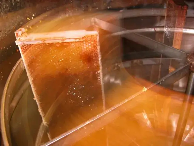 Zdjęcie Wirowanie miodu: Jak skutecznie odwirować miód, aby uzyskać czysty produkt