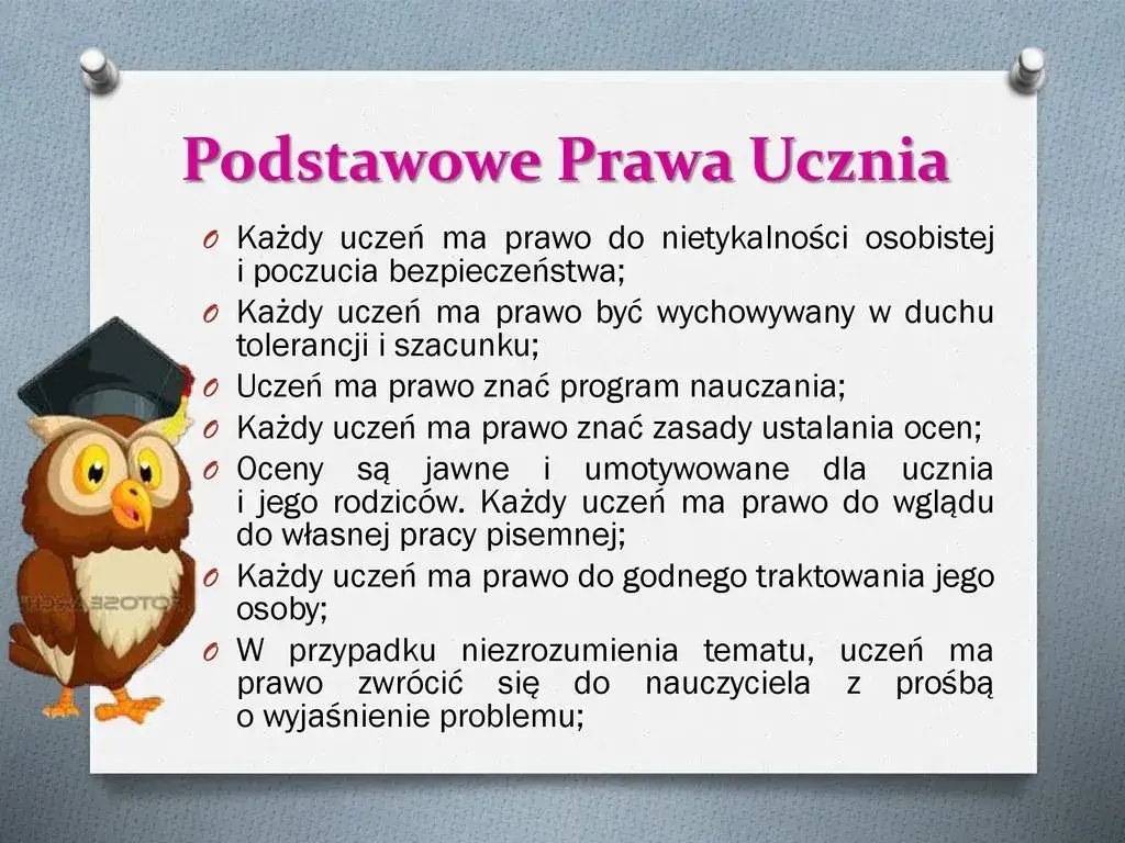 Zdjęcie Czy nauczyciel może krzyczeć na ucznia? Poznaj swoje prawa i konsekwencje
