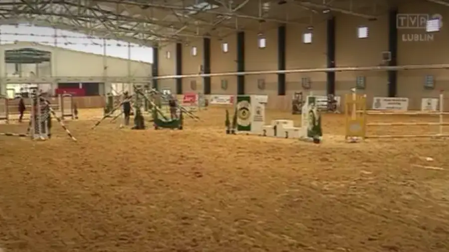 Zdjęcie Hipologia i jeździectwo w Lublinie - unikalny kierunek studiów dla pasjonatów