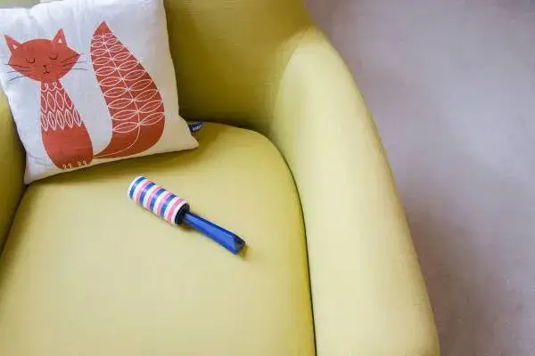 Zdjęcie Skuteczne sposoby, jak pozbyć się sierści z ubrań raz na zawsze