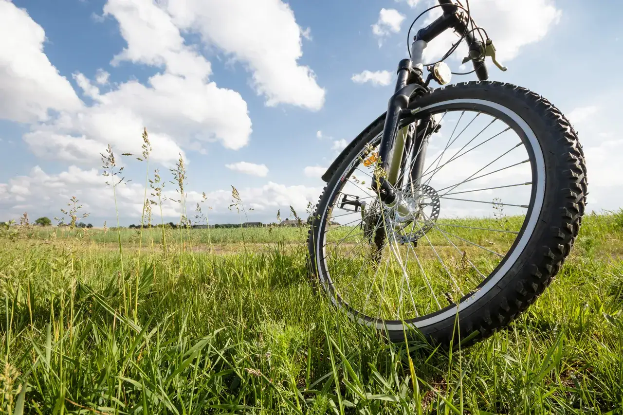 Zdjęcie Trasy rowerowe Rowy: Odkryj najpiękniejsze szlaki i trasy
