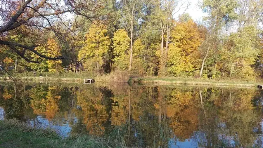 Zdjęcie Siemień łowisko: zasady wędkowania, godziny otwarcia i ciekawostki
