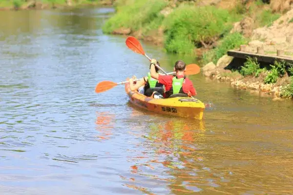 Zdjęcie Spływy kajakowe pod lasem – odkryj piękno Małej Panwi i jej trasy