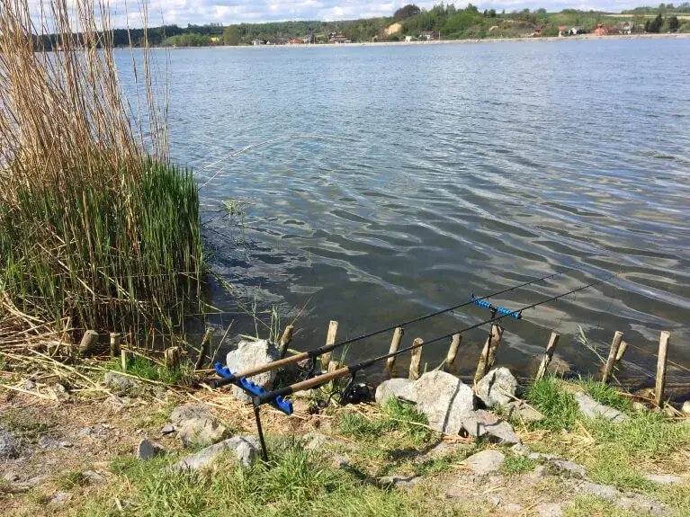 Zdjęcie Świętokrzyskie na wędkę 2026: Najlepsze łowiska PZW i komercyjne