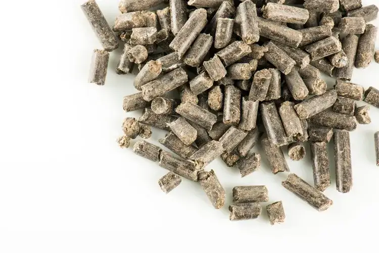 Zdjęcie Z czego można zrobić pellet? Poznaj najlepsze materiały i ich zalety