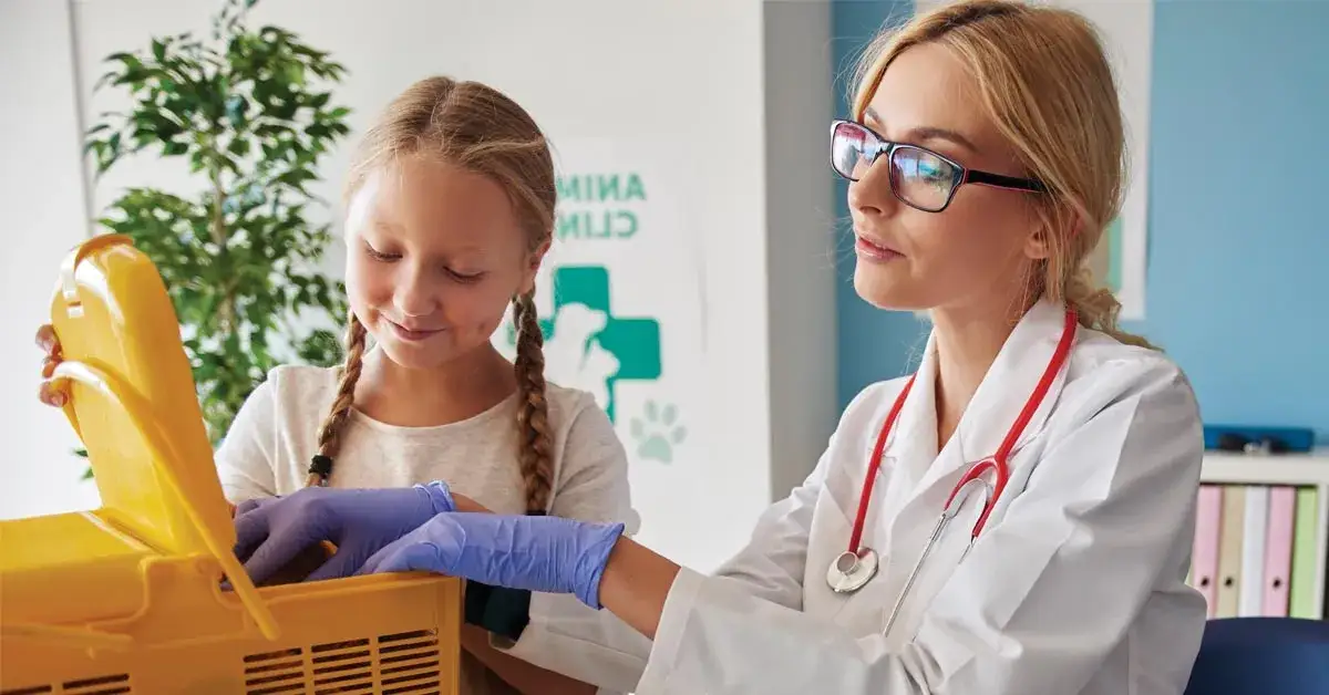 Zdjęcie Czy z królikiem trzeba chodzić do weterynarza, aby uniknąć problemów zdrowotnych?