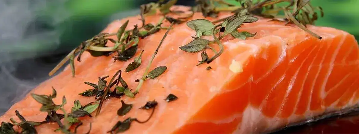 Zdjęcie Gdzie zjeść w Konstancinie-Jeziornie? Najlepsze restauracje na każdą okazję