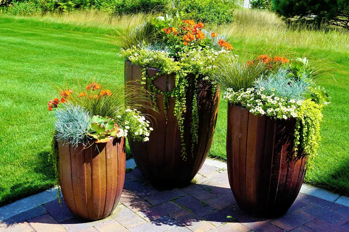 Zdjęcie Jakie kwiaty do donic na taras? 8 najlepszych propozycji i porady