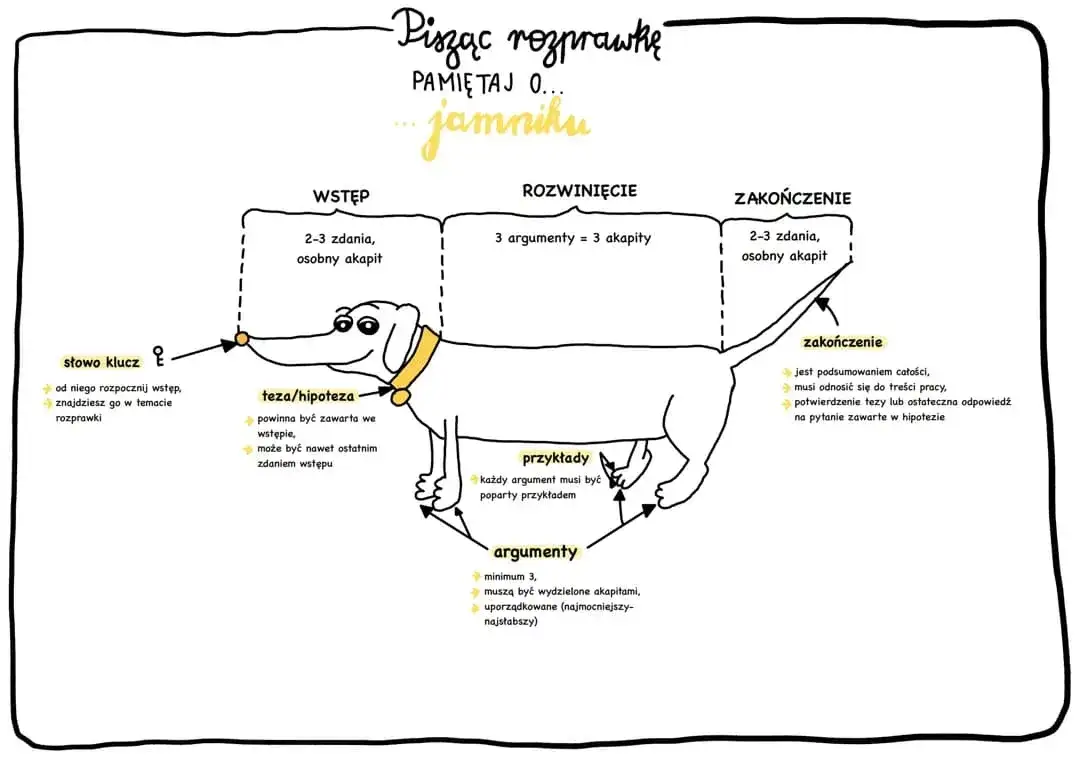 Zdjęcie Jak się pisze rozprawkę? Odkryj skuteczne techniki i struktury