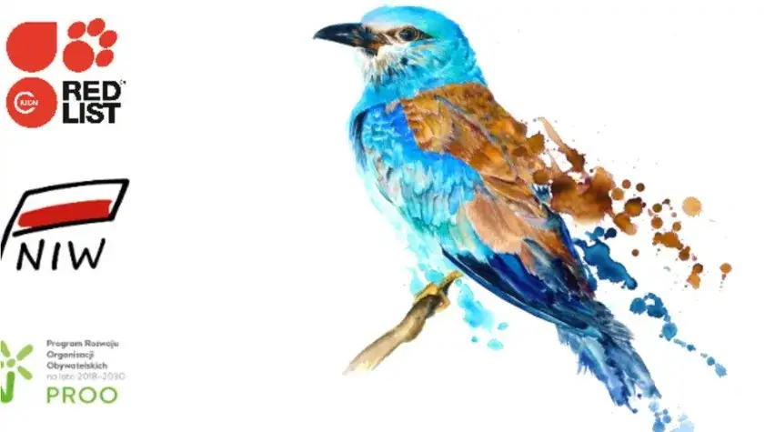 Zdjęcie Gatunki, które wyginęły w Polsce: przyczyny, lista i próby ratowania przyrody