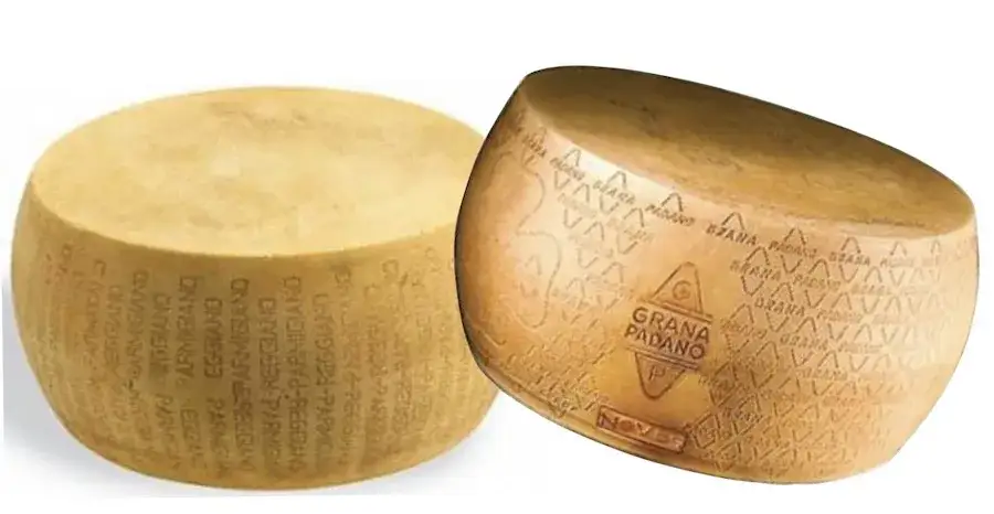 Zdjęcie Parmezan czy grana padano - co wybrać i jak je odróżnić?