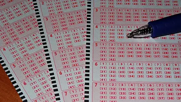Zdjęcie Ile kuponów lotto na wesele? Oto co warto wiedzieć przed zakupem