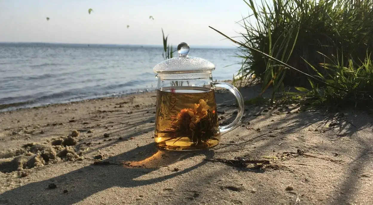 Zdjęcie Jak prawidłowo parzyć herbatę pu-erh, aby uniknąć błędów i cieszyć się idealnym smakiem