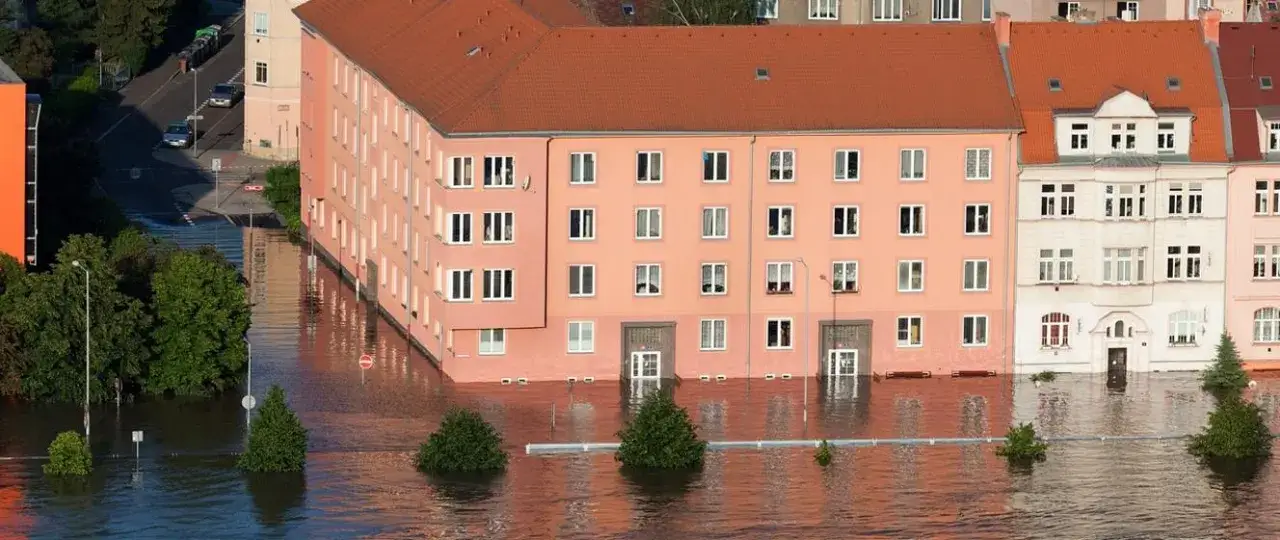 Zdjęcie Co ma największy zły wpływ na klimat i jak temu zapobiec