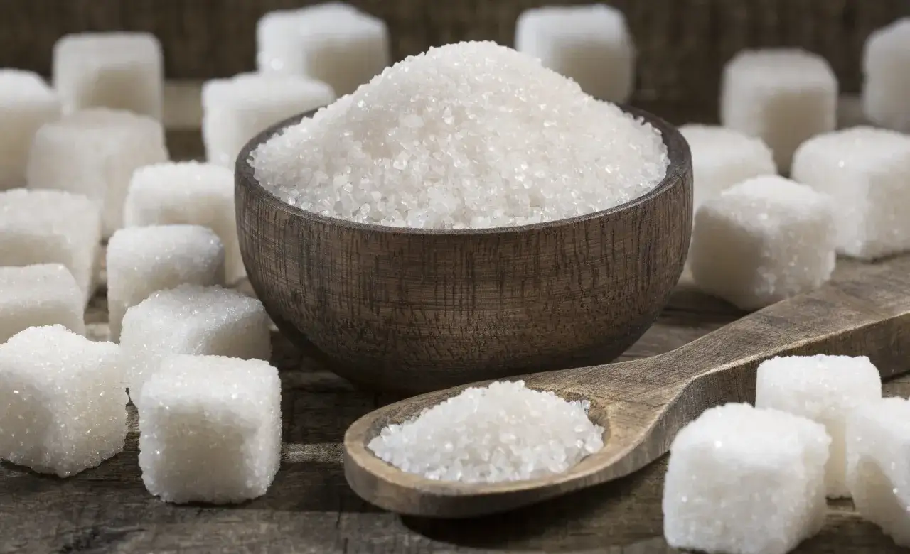 Zdjęcie Czym żywi się rak? Kluczowe składniki odżywcze dla nowotworów