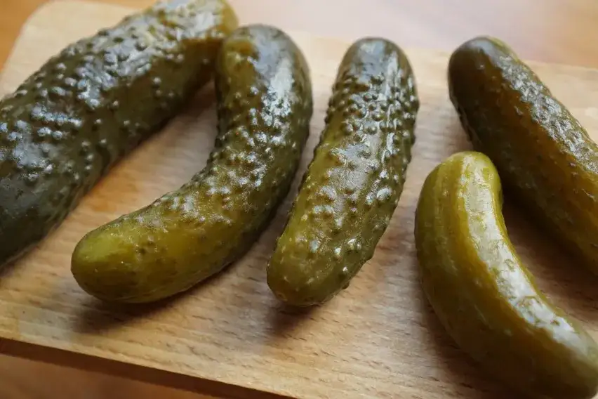 Zdjęcie Jakie ogórki do sałatki jarzynowej? Poznaj najlepsze wybory!