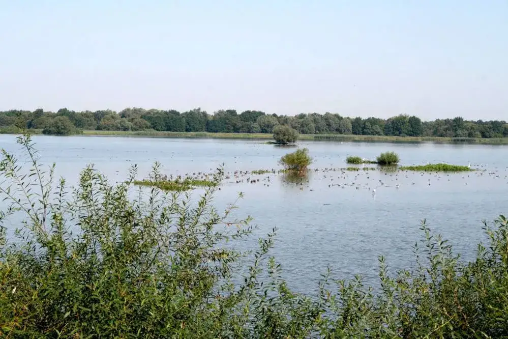 Zdjęcie Jezioro Goczałkowickie: Historia, ekologia i tajemnice urokliwego zbiornika