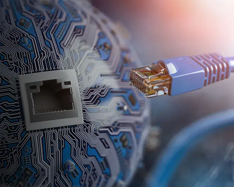 Zdjęcie Co to jest sieć lokalna i jak wpływa na Twoje codzienne życie