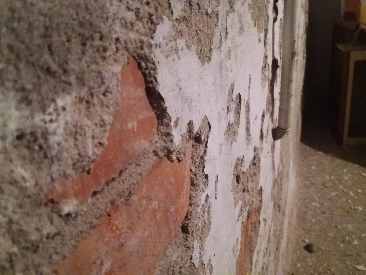 Zdjęcie Sypiący się tynk: skuteczne sposoby wzmocnienia i renowacji krok po kroku