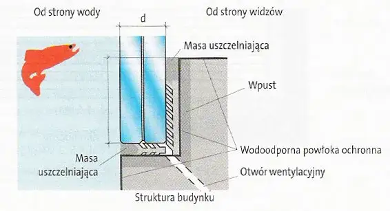 Zdjęcie Jaka grubość szkła do akwarium? Sprawdź, aby uniknąć problemów