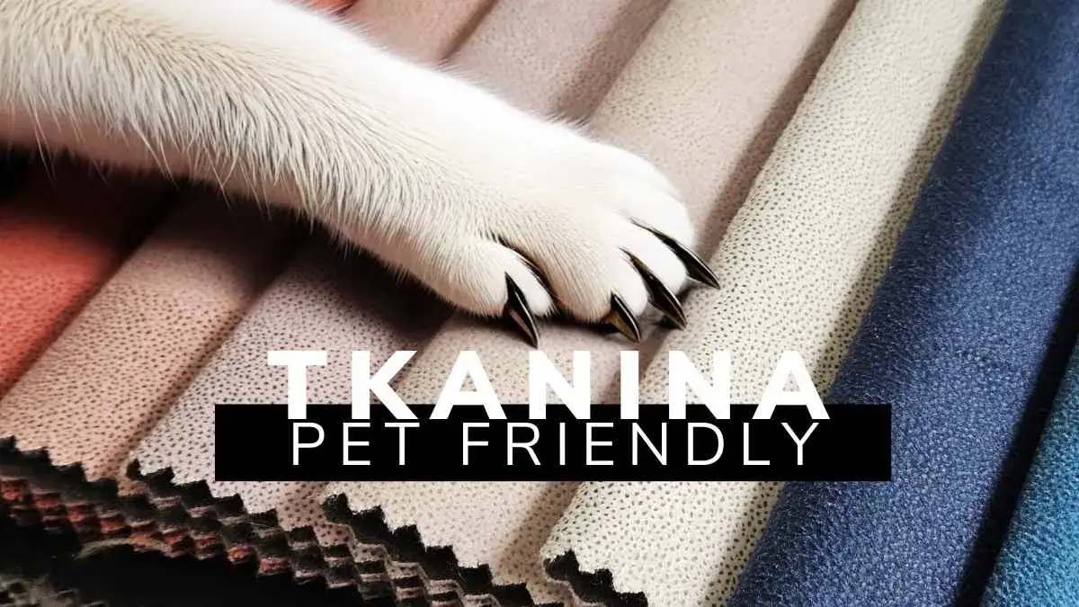 Zdjęcie Materiał który nie łapie sierści - wybierz najlepsze tkaniny dla pupila