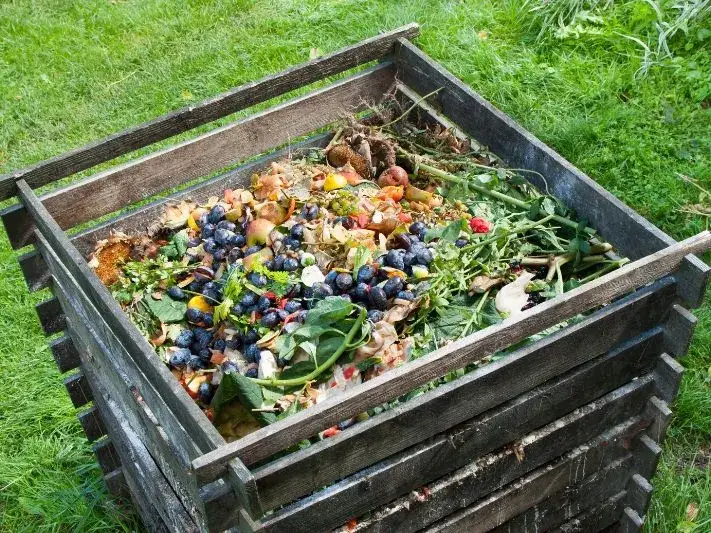 Zdjęcie Jak zrobić kwaśny kompost: 6 kroków dla roślin kwasolubnych