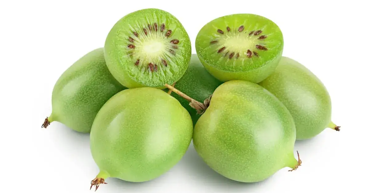 Zdjęcie Jak uprawiać mini kiwi: proste sposoby na zdrowe i smaczne owoce