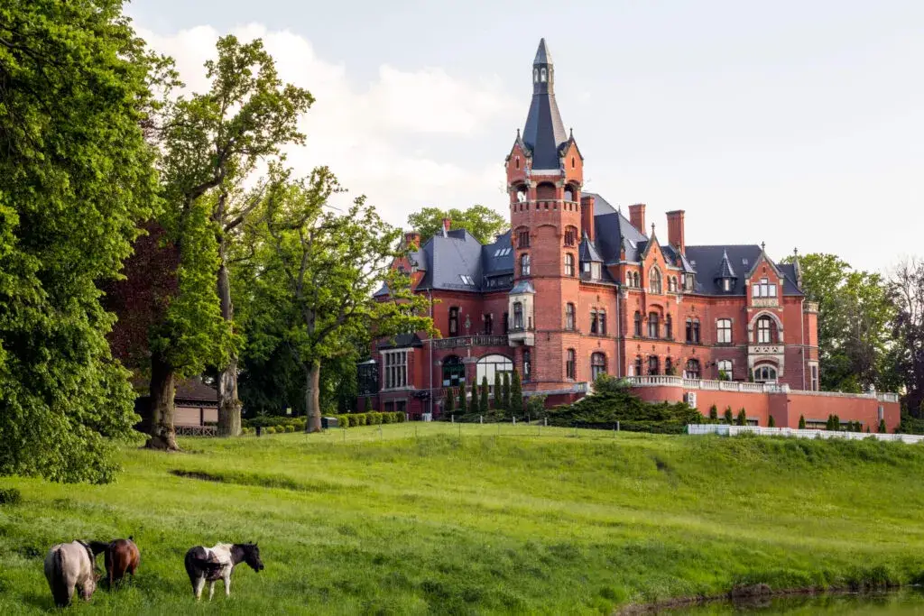 Zdjęcie  Fajne miejsca na weekend w Wielkopolsce - odkryj atrakcje i inspiracje na wyjazd