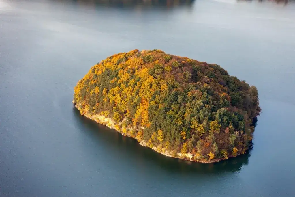 Zdjęcie Małpia Wyspa skąd nazwa? Odkryj tajemnice etymologii i historii