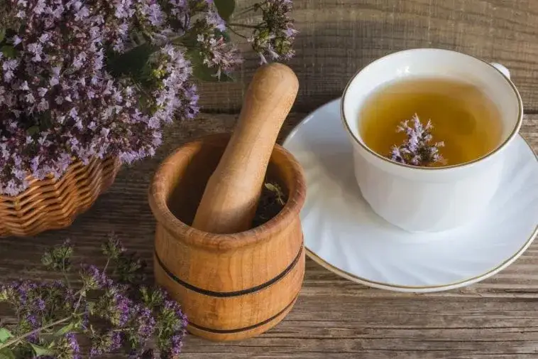 Zdjęcie Czy napar z majeranku można pić na noc? Bezpieczeństwo i korzyści