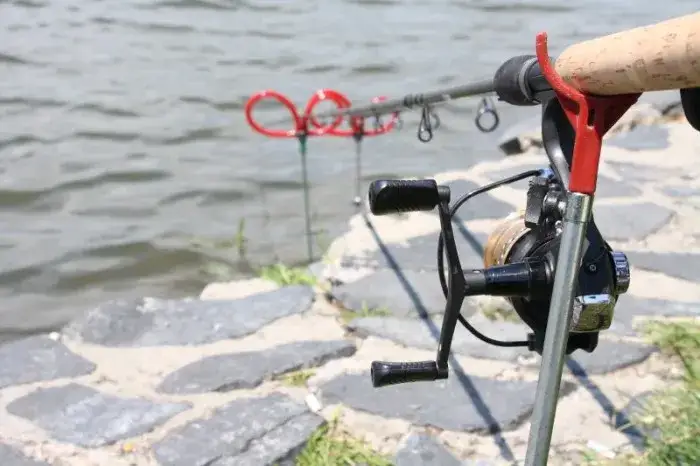 Zdjęcie Skuteczne techniki łowienia z gruntu na mulistym dnie - poradnik