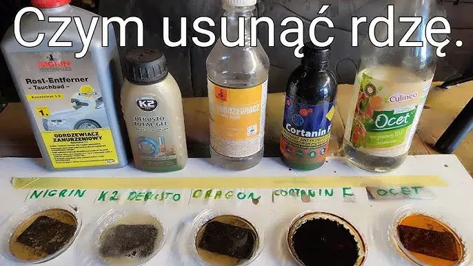 Zdjęcie Cortanin zmywać czy nie? Kluczowe informacje o aplikacji i pielęgnacji