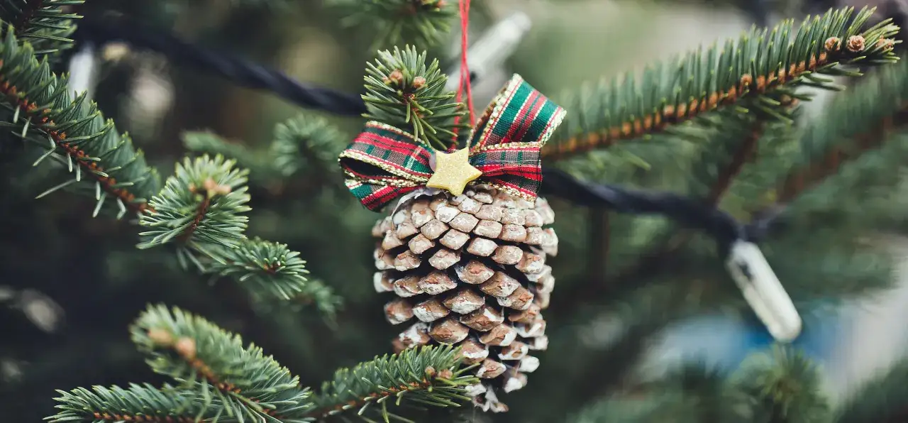 Zdjęcie Ozdoby choinkowe z szyszek jak zrobić – proste i efektowne pomysły