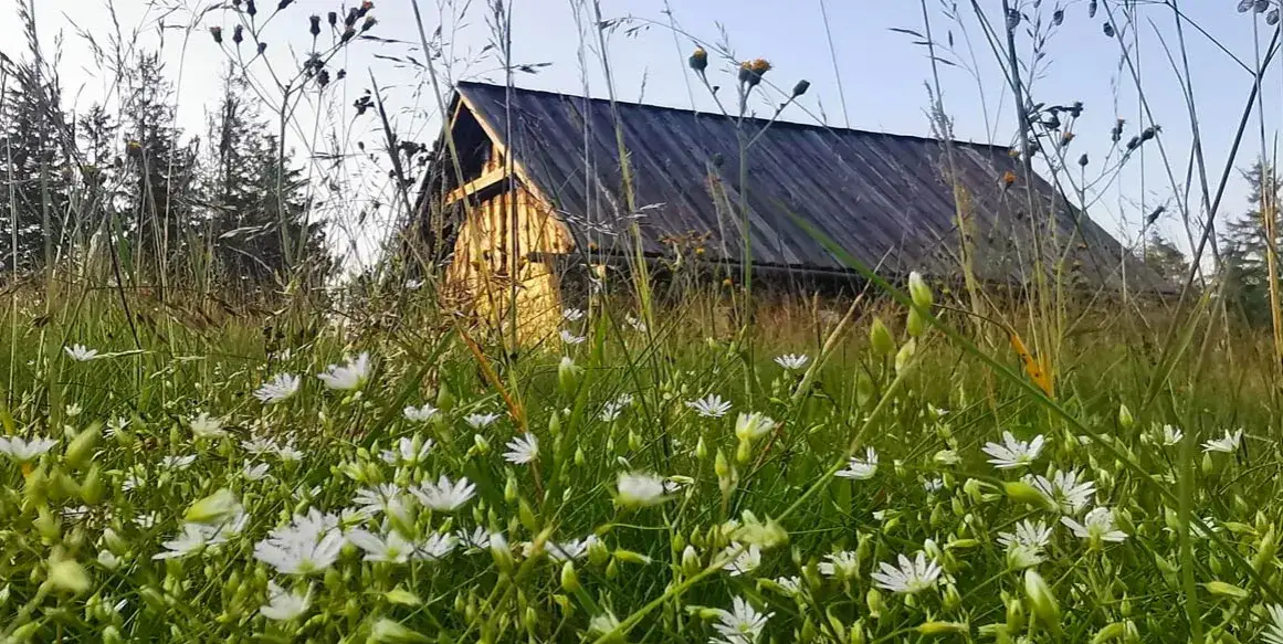 Zdjęcie Bac&oacute;wka Gorce - odkryj urok tradycyjnych chat g&oacute;ralskich w naturze