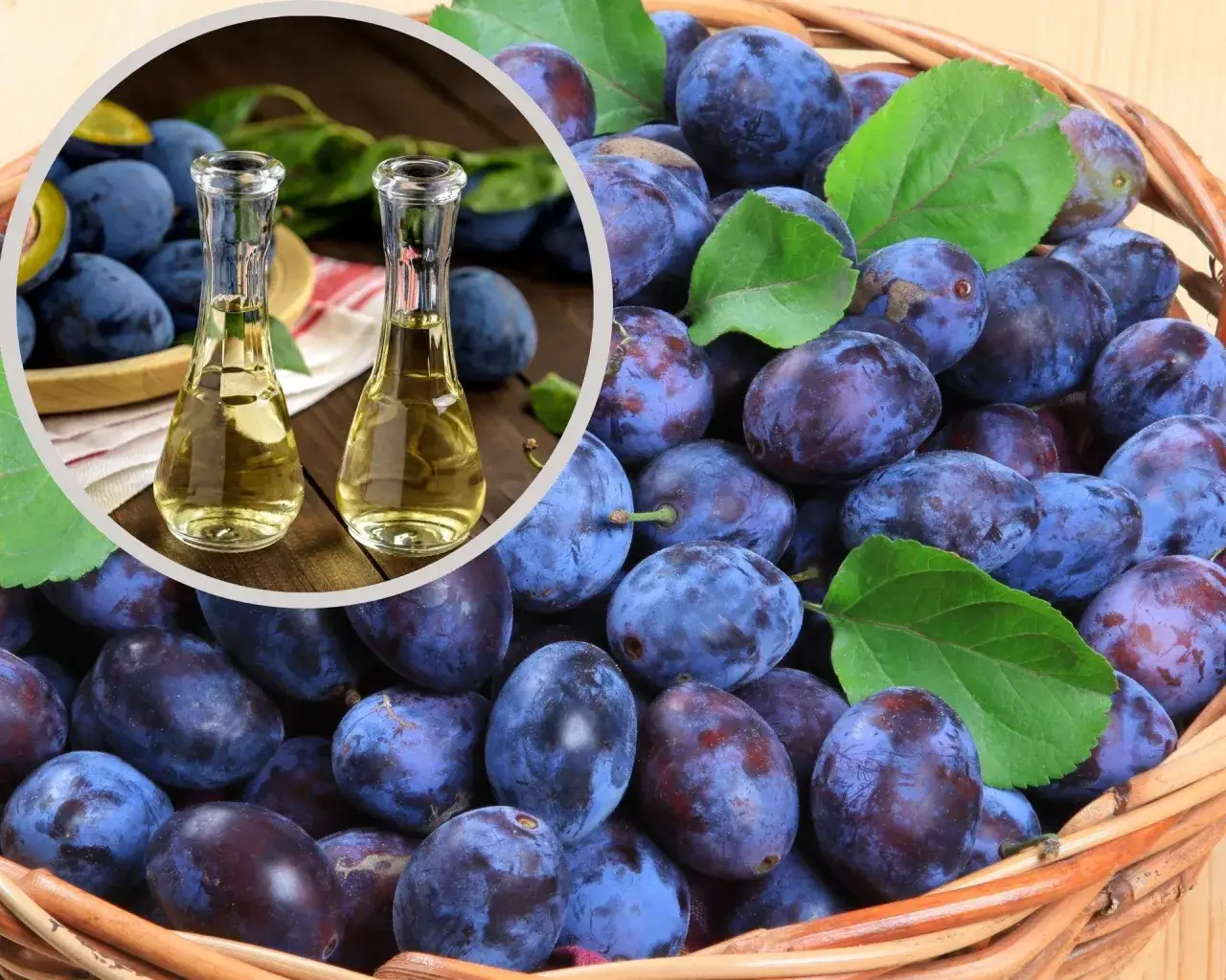 Zdjęcie Nalewka ze śliwek na co pomaga – odkryj jej zdrowotne właściwości