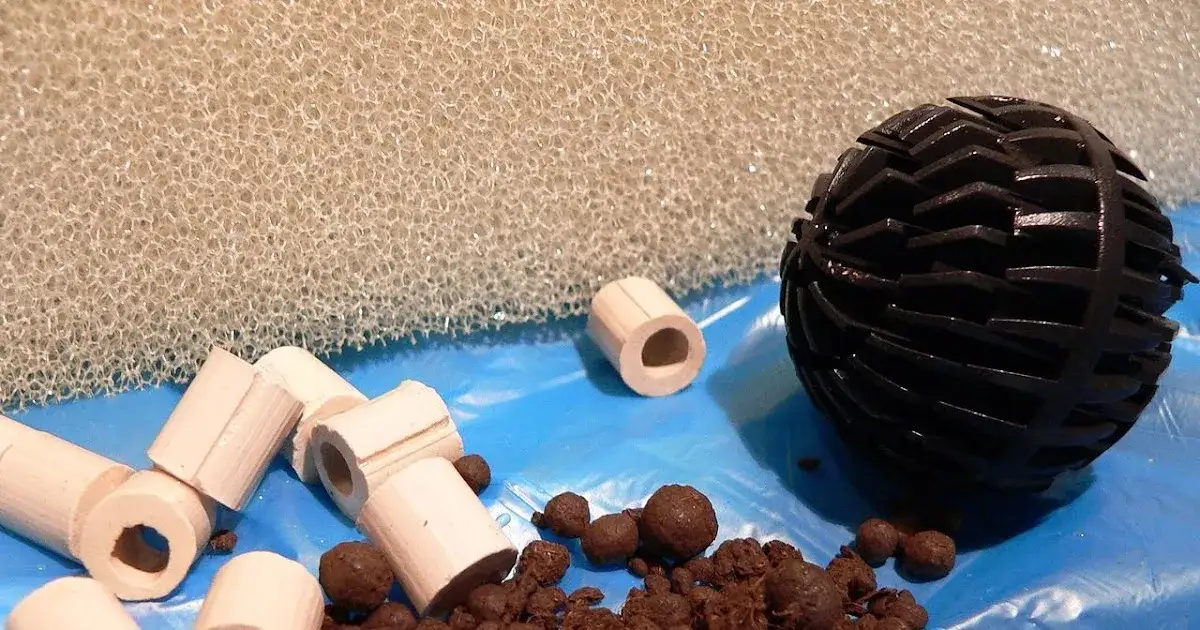 Zdjęcie Jak skutecznie obniżyć NO2 w akwarium - 5 sprawdzonych sposobów